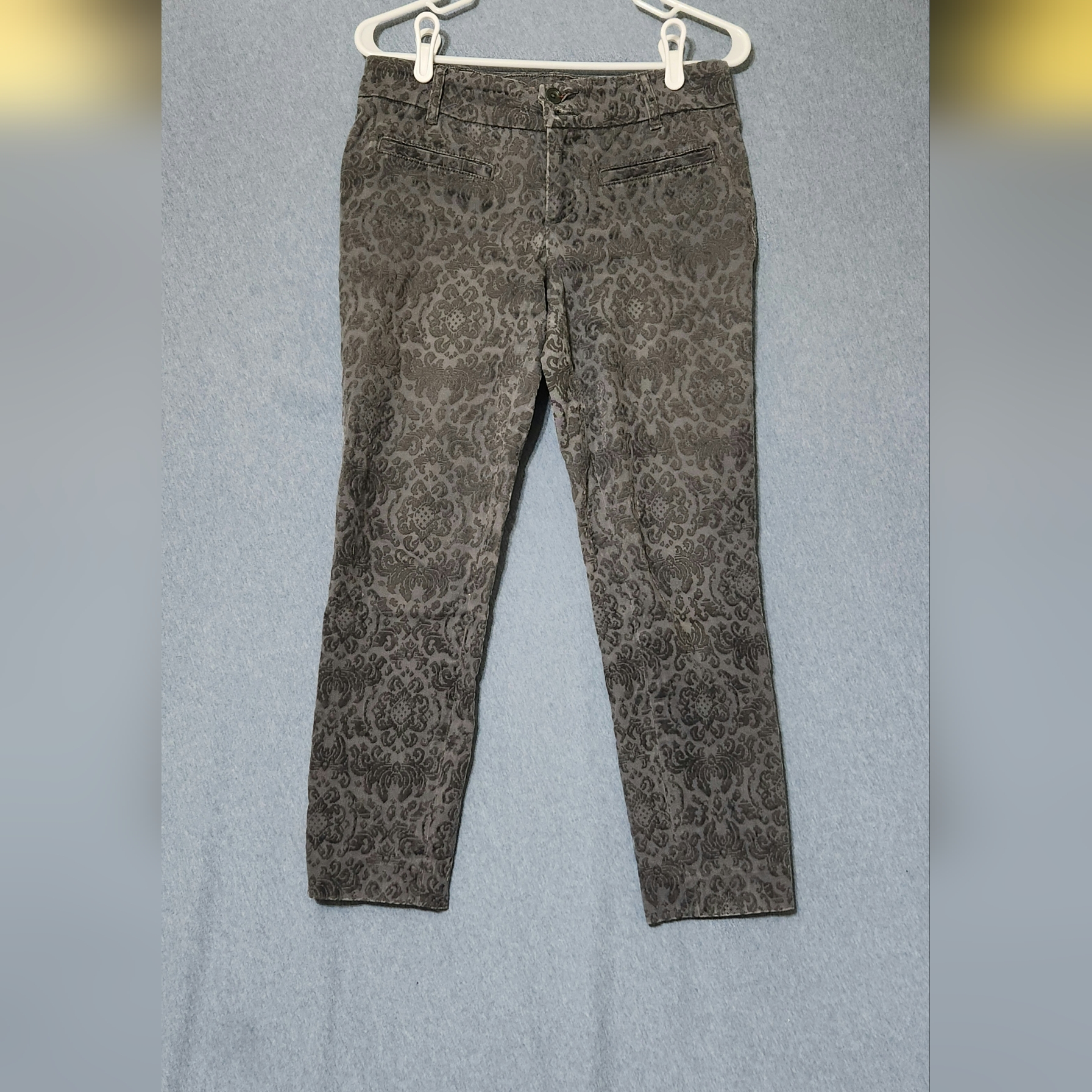 Anthropology Cartonneir Charlie Ankle Pants. Velvet Feel. Size 6